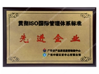 ISO International Management System Advanced Enterprise