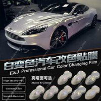 White Chameleon Film